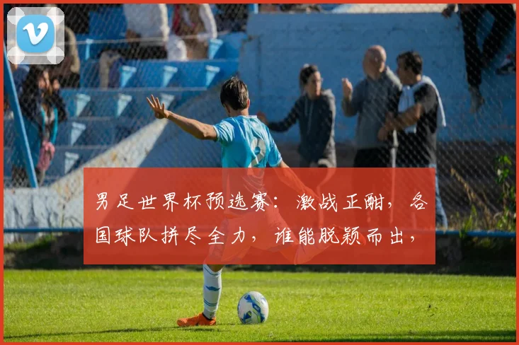 男足世界杯预选赛：激战正酣，各国球队拼尽全力，谁能脱颖而出，晋级决赛圈